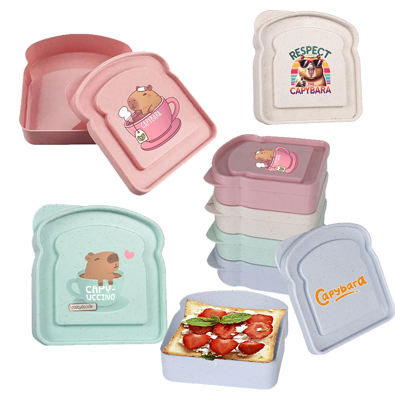 Capybara Sandwich Food Storage - Salad Container Jar 评论和价格