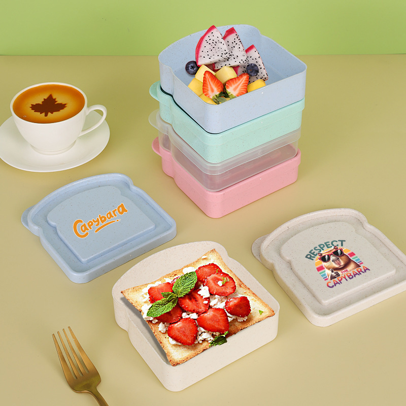 Capybara Sandwich Food Storage - Salad Container Jar 评论和价格